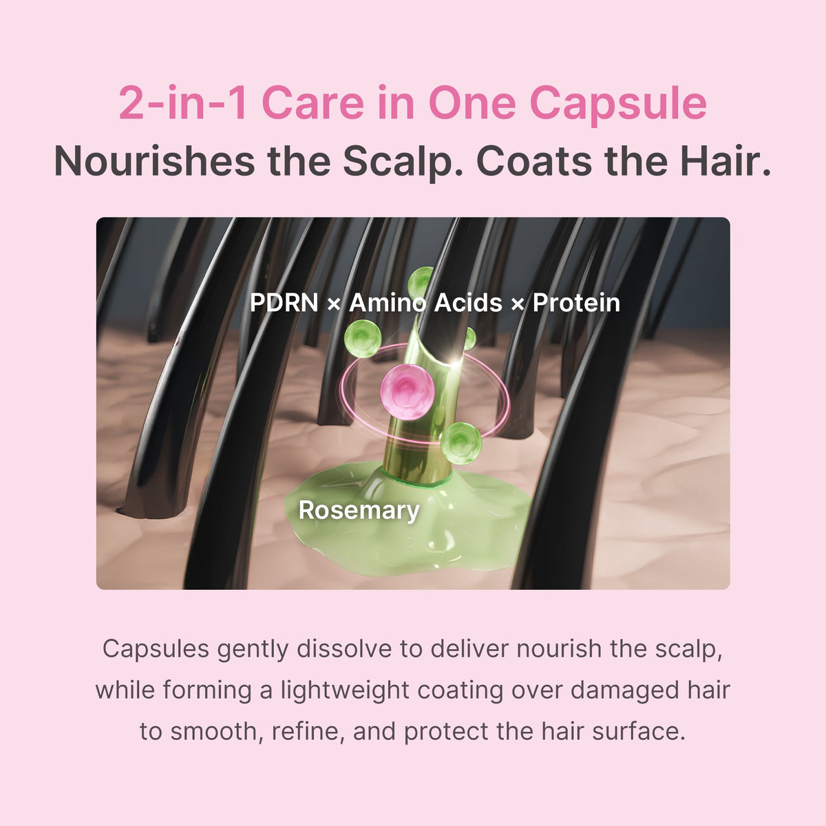 Rosemary PDRN Hair & Scalp Conditioner X2